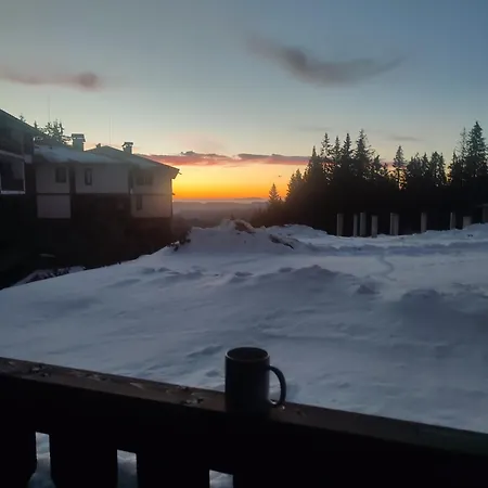 Dream в гранд ризорт Pamporovo