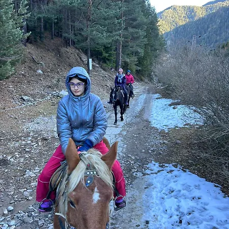 Dream в гранд ризорт * Pamporovo