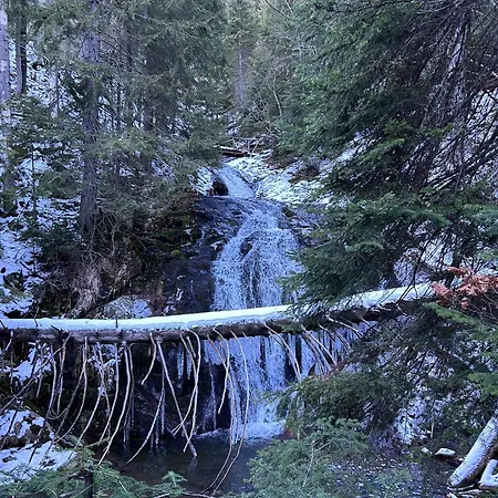 Dream в гранд ризорт Pamporovo