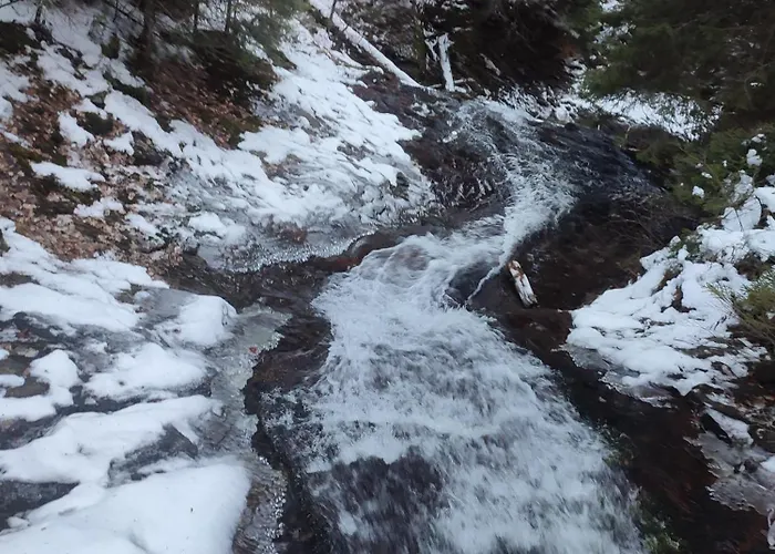 Dream в гранд ризорт 아파트 *